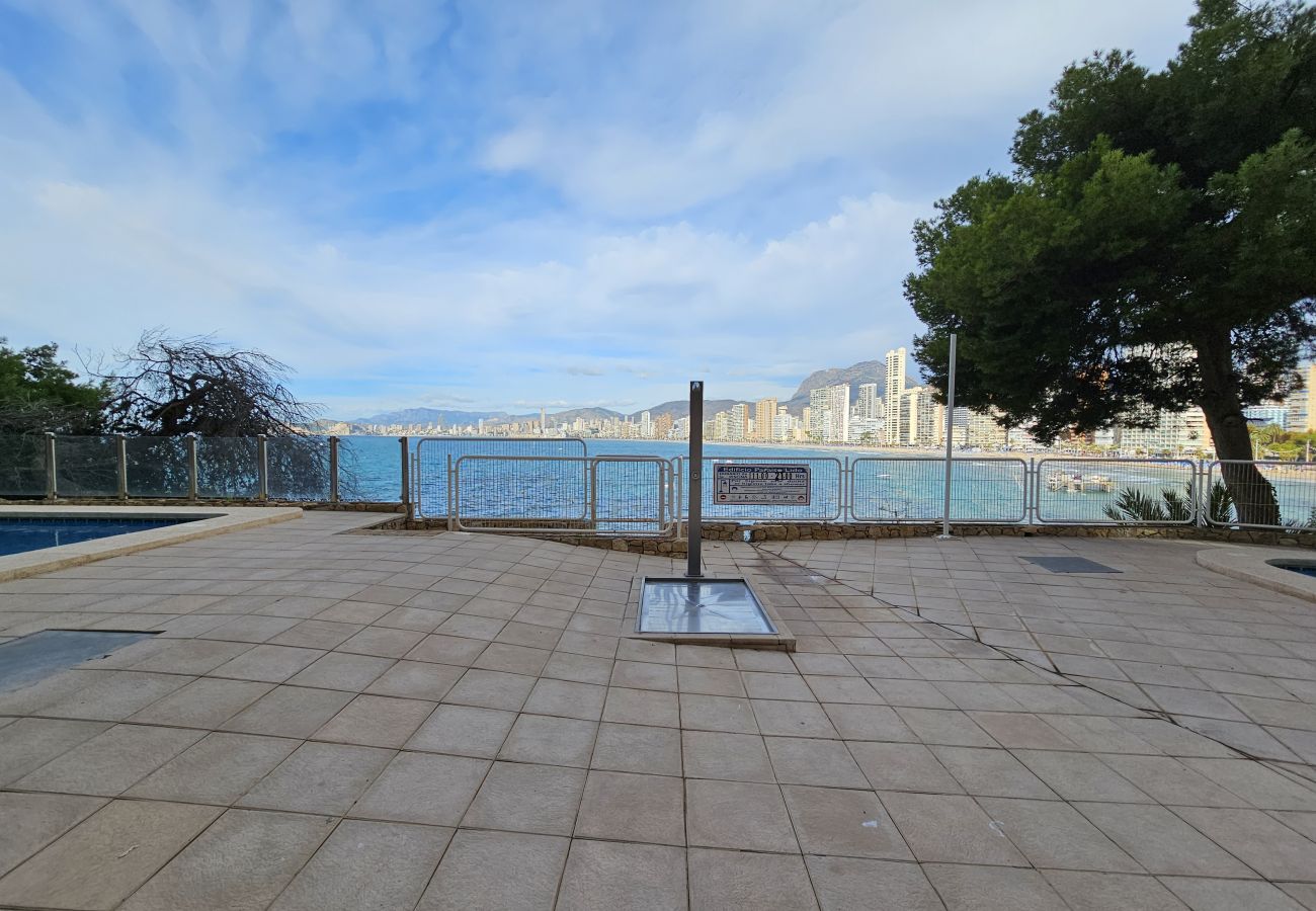 Apartamento en Benidorm - Apartamento  Paraiso Lido IF Benidorm