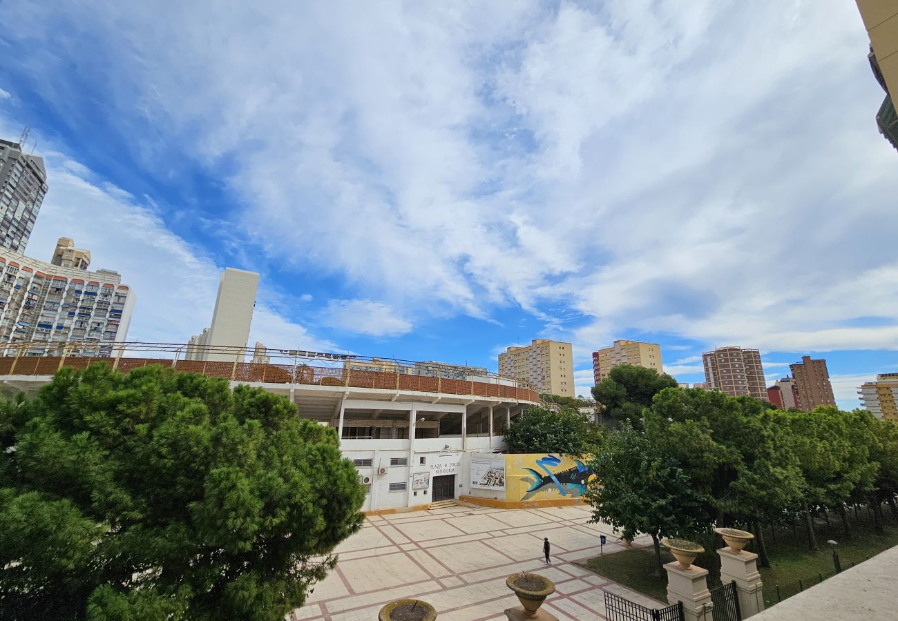 Estudio en Benidorm - Apartamentos Benidorm Black 4