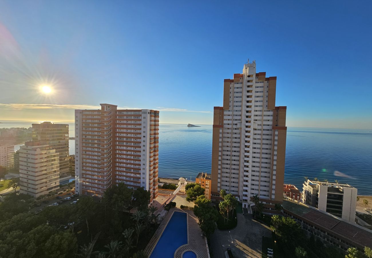 Apartamento en Benidorm - Apartamento Provima B16 IF Benidorm