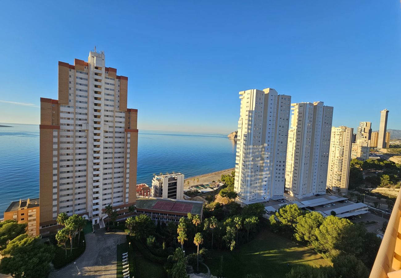 Apartamento en Benidorm - Apartamento Provima B16 IF Benidorm