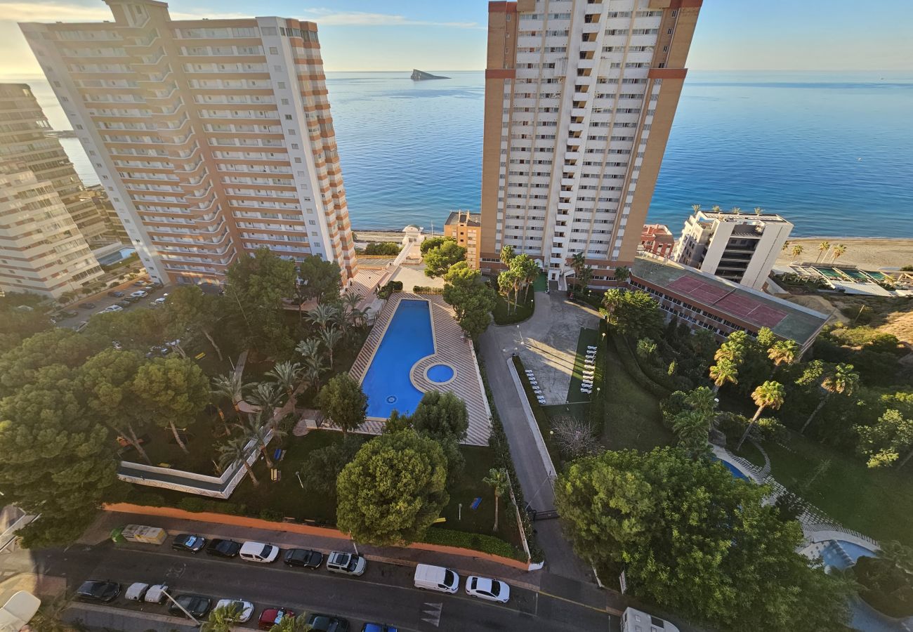 Apartamento en Benidorm - Apartamento Provima B16 IF Benidorm