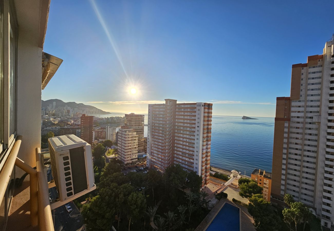 Apartamento en Benidorm - Apartamento Provima B16 IF Benidorm