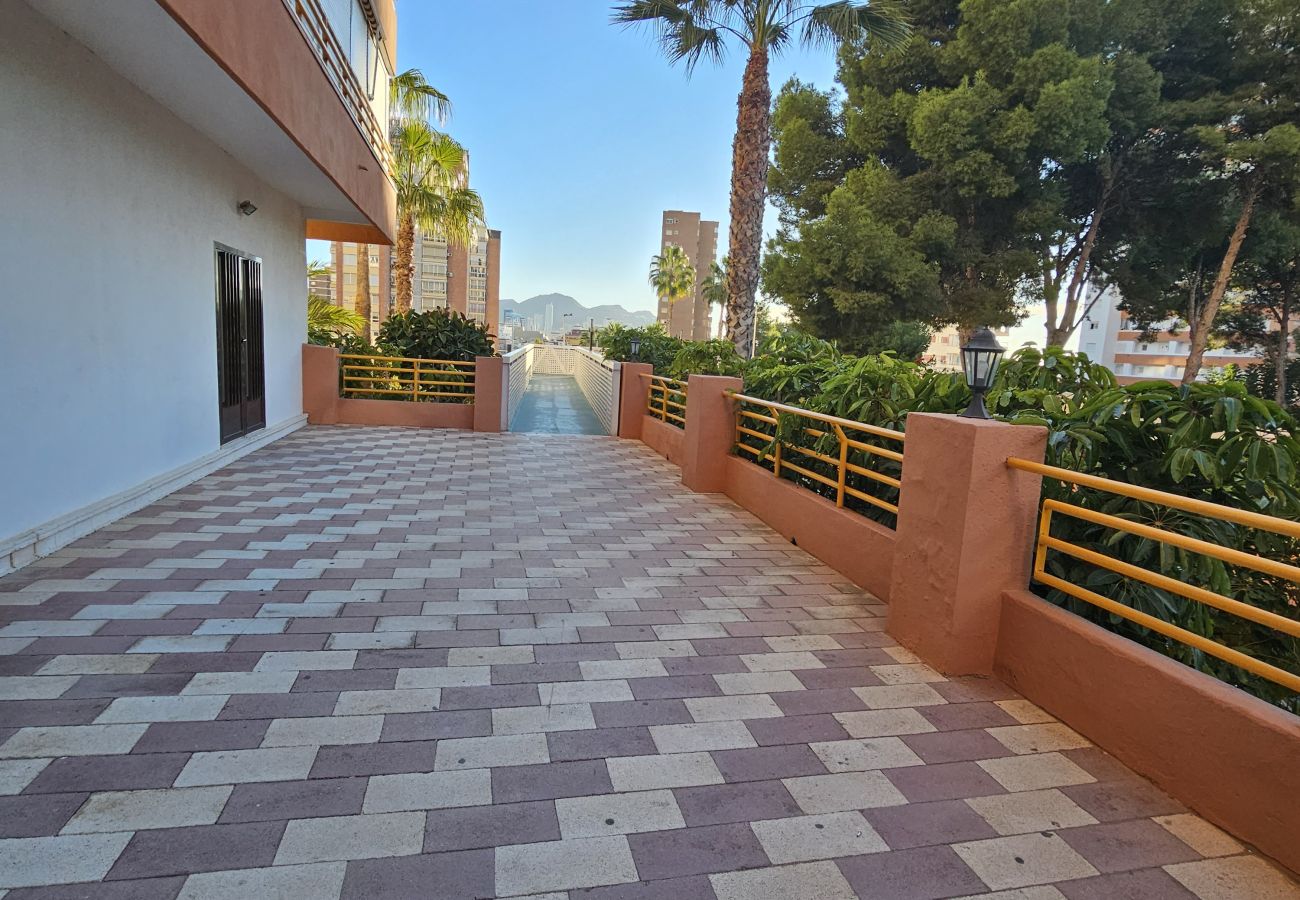 Apartamento en Benidorm - Apartamento Provima B16 IF Benidorm