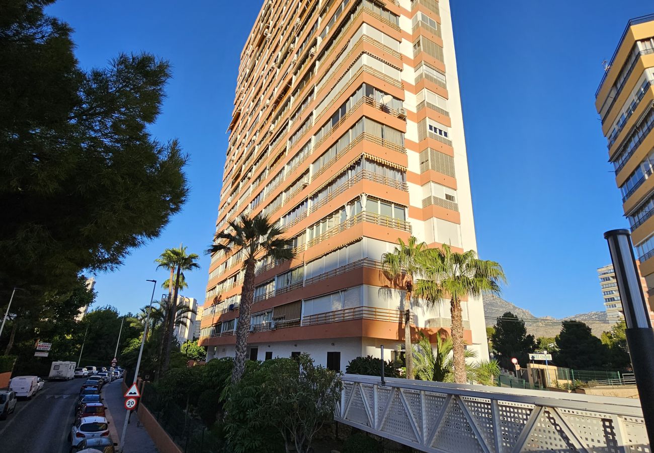 Apartamento en Benidorm - Apartamento Provima B16 IF Benidorm