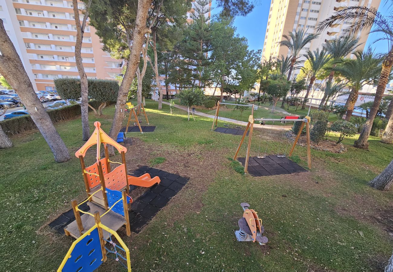 Apartamento en Benidorm - Apartamento Provima B16 IF Benidorm