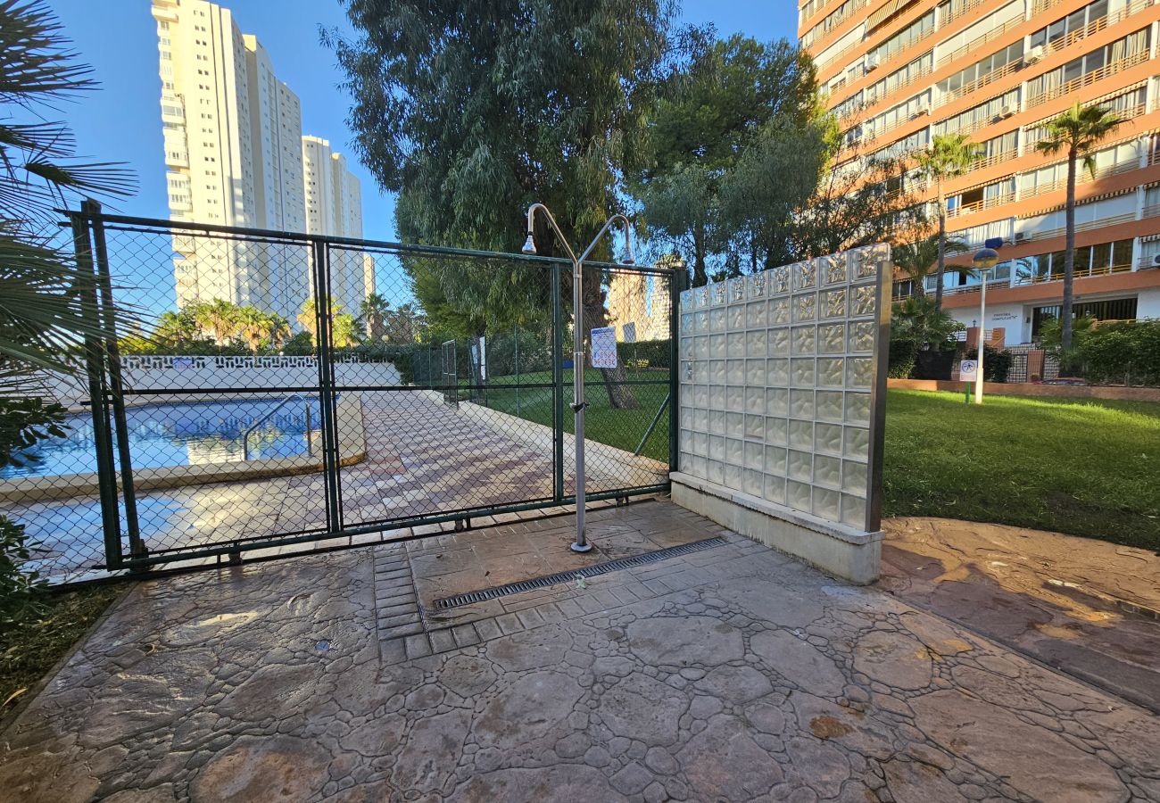 Apartamento en Benidorm - Apartamento Provima B16 IF Benidorm