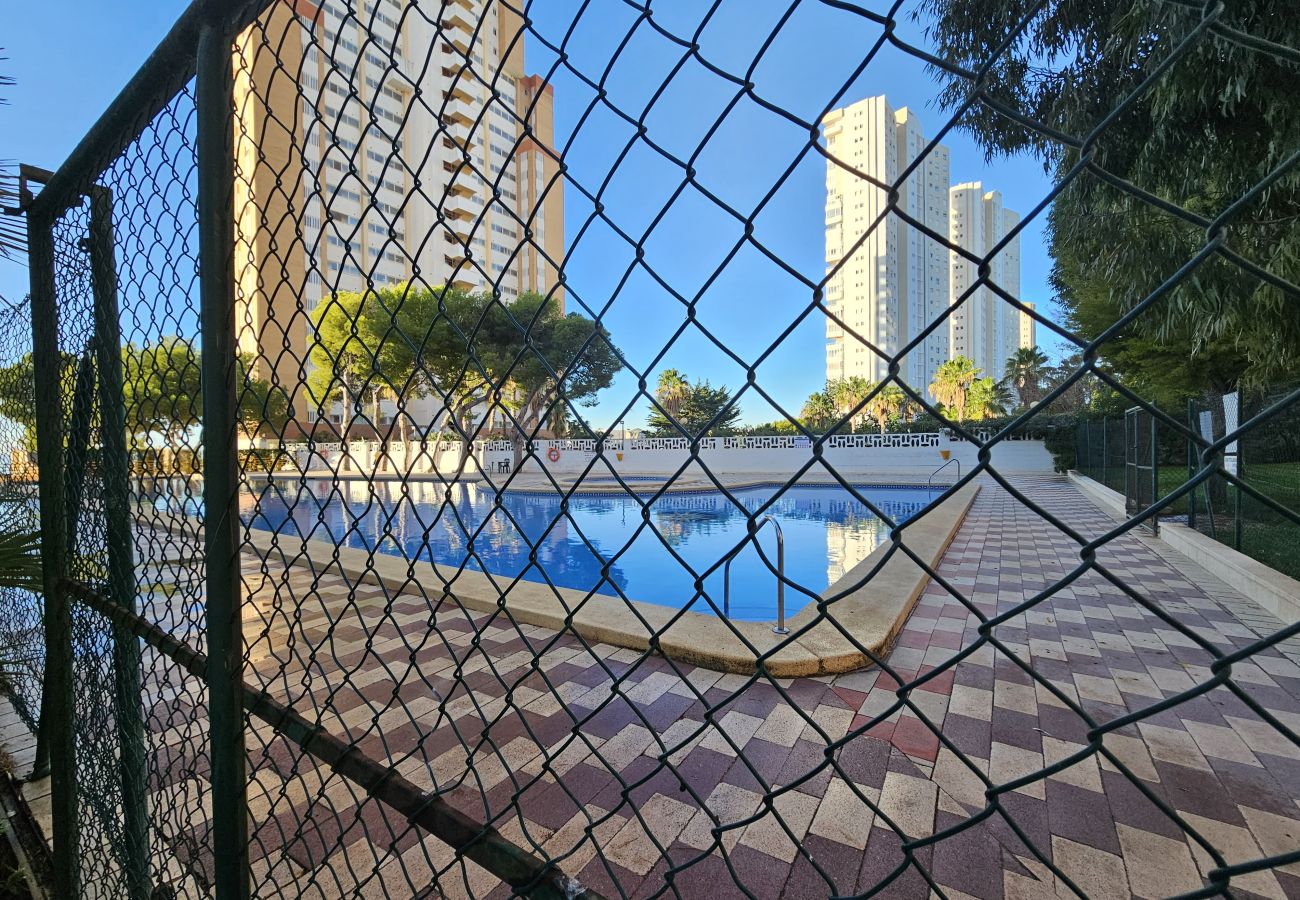 Apartamento en Benidorm - Apartamento Provima B16 IF Benidorm