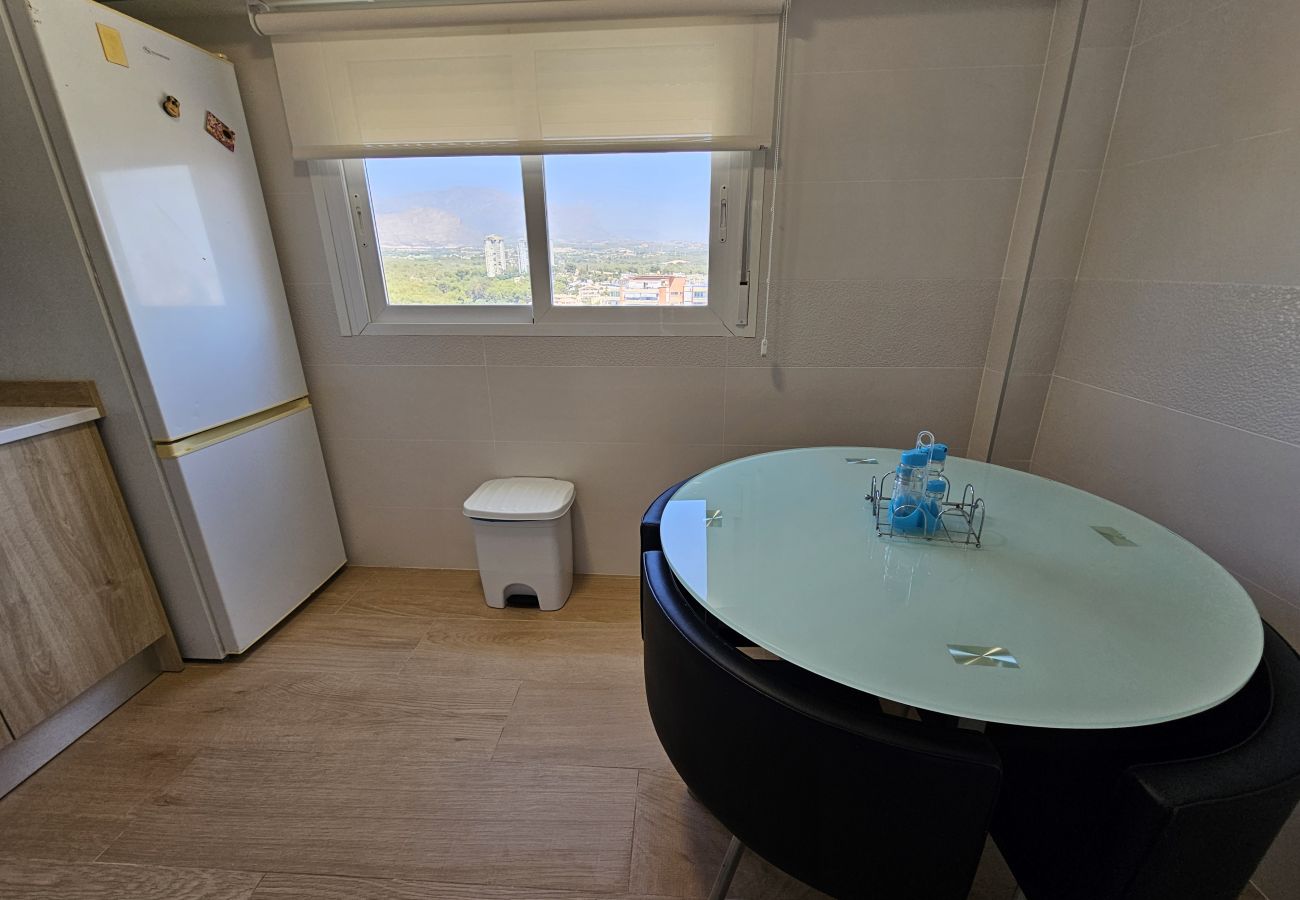 Apartamento en Benidorm - Apartamento Provima B16 IF Benidorm