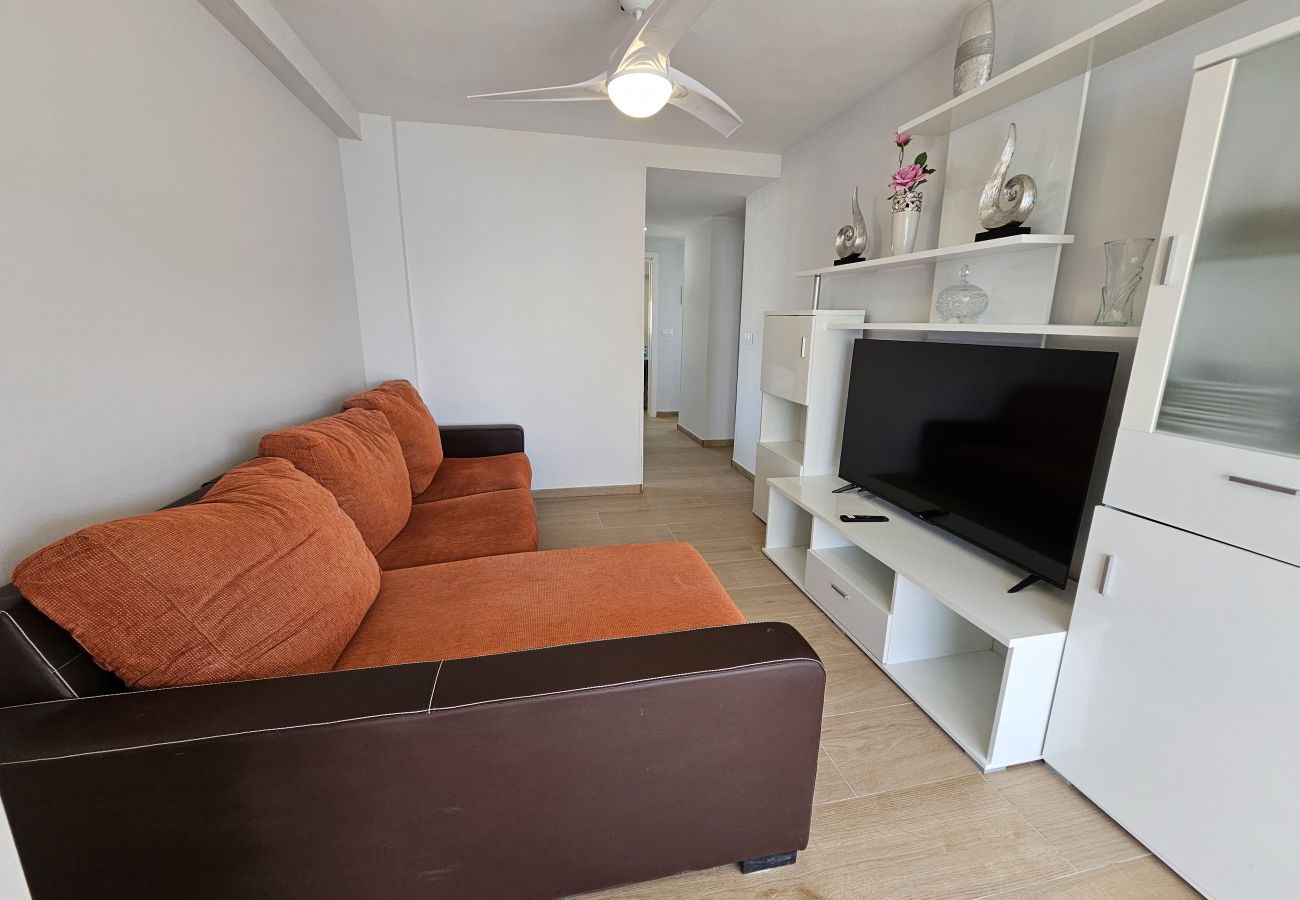 Apartamento en Benidorm - Apartamento Provima B16 IF Benidorm