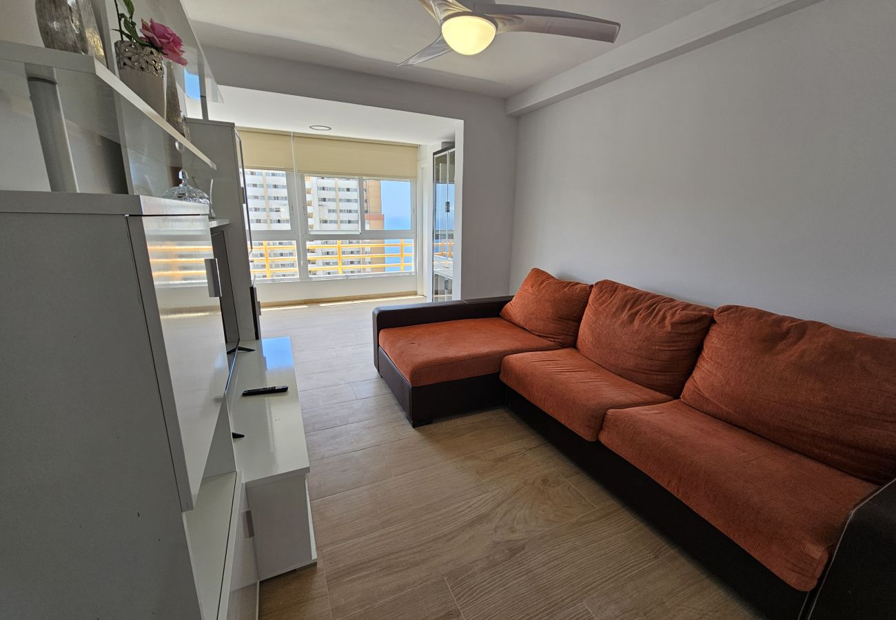 Apartamento en Benidorm - Apartamento Provima B16 IF Benidorm