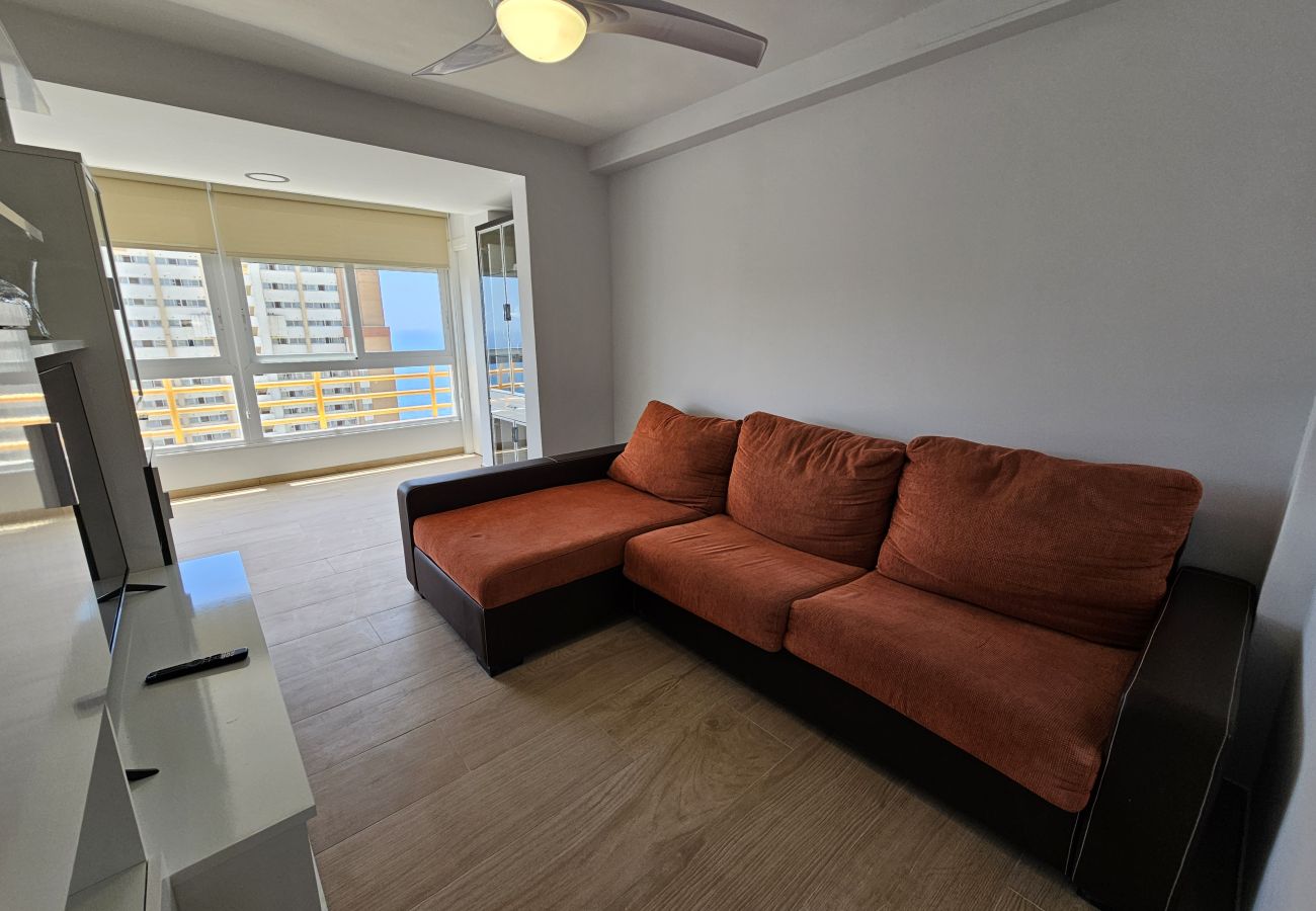 Apartamento en Benidorm - Apartamento Provima B16 IF Benidorm