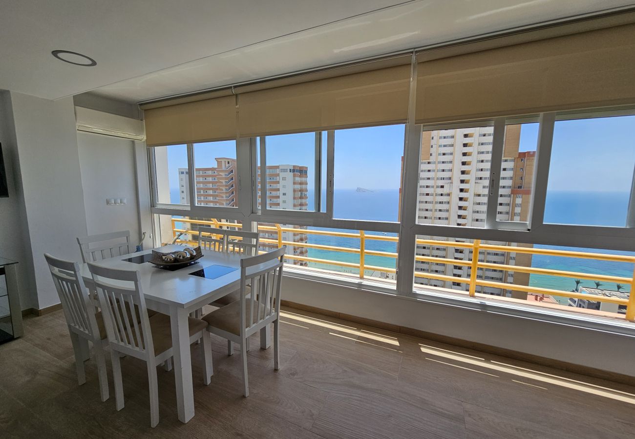 Apartamento en Benidorm - Apartamento Provima B16 IF Benidorm