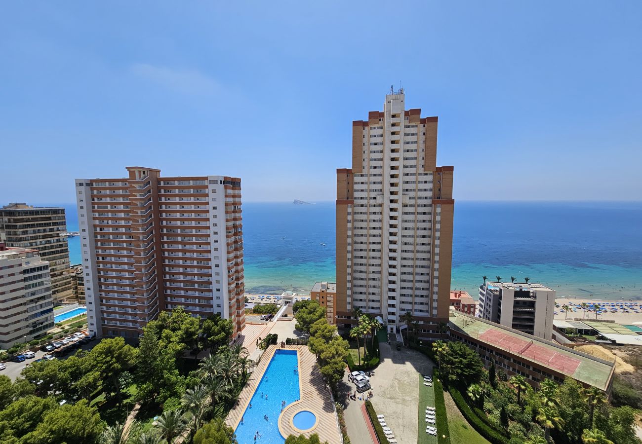 Apartamento en Benidorm - Apartamento Provima B16 IF Benidorm