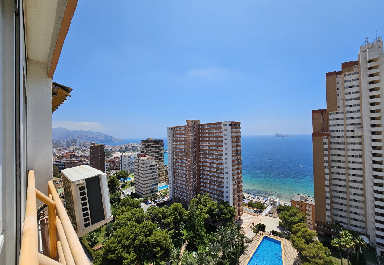 Apartamento en Benidorm - Apartamento Provima B16 IF Benidorm