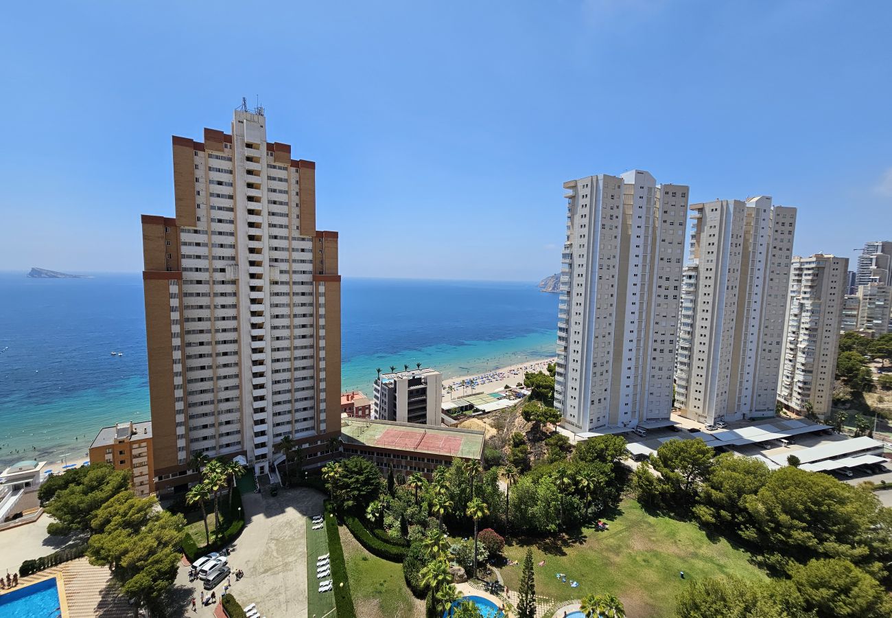 Apartamento en Benidorm - Apartamento Provima B16 IF Benidorm