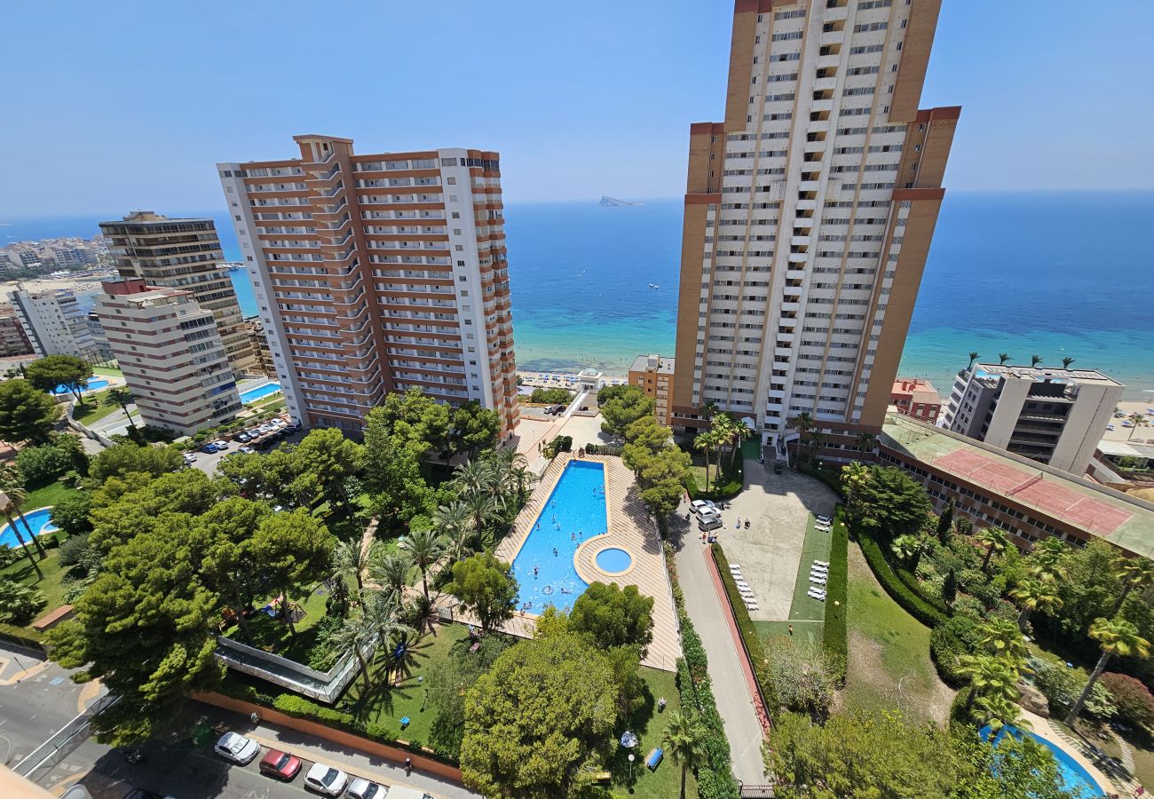 Apartamento en Benidorm - Apartamento Provima B16 IF Benidorm