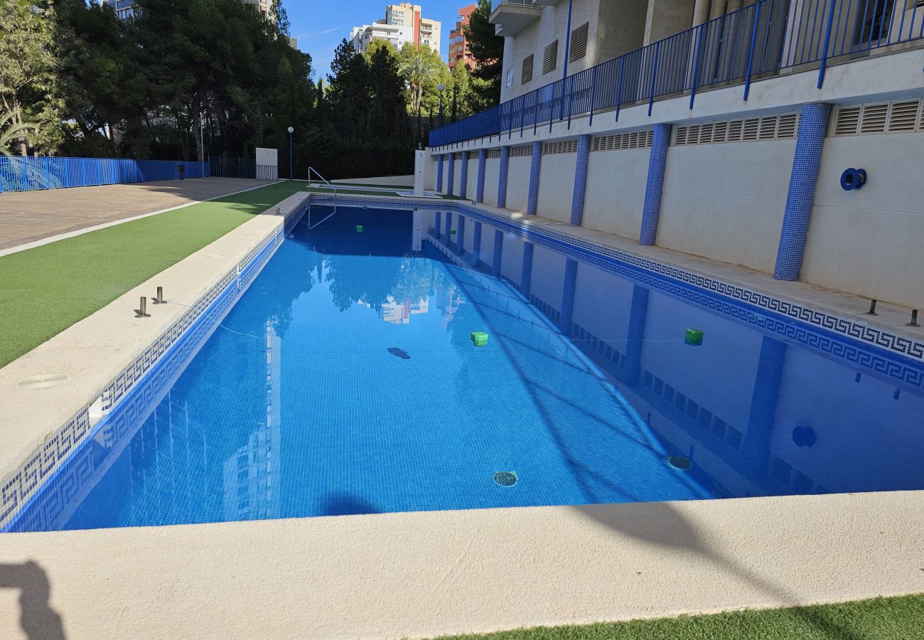 Apartamento en Benidorm - Apartamento Torre  San  Remo IF Benidorm