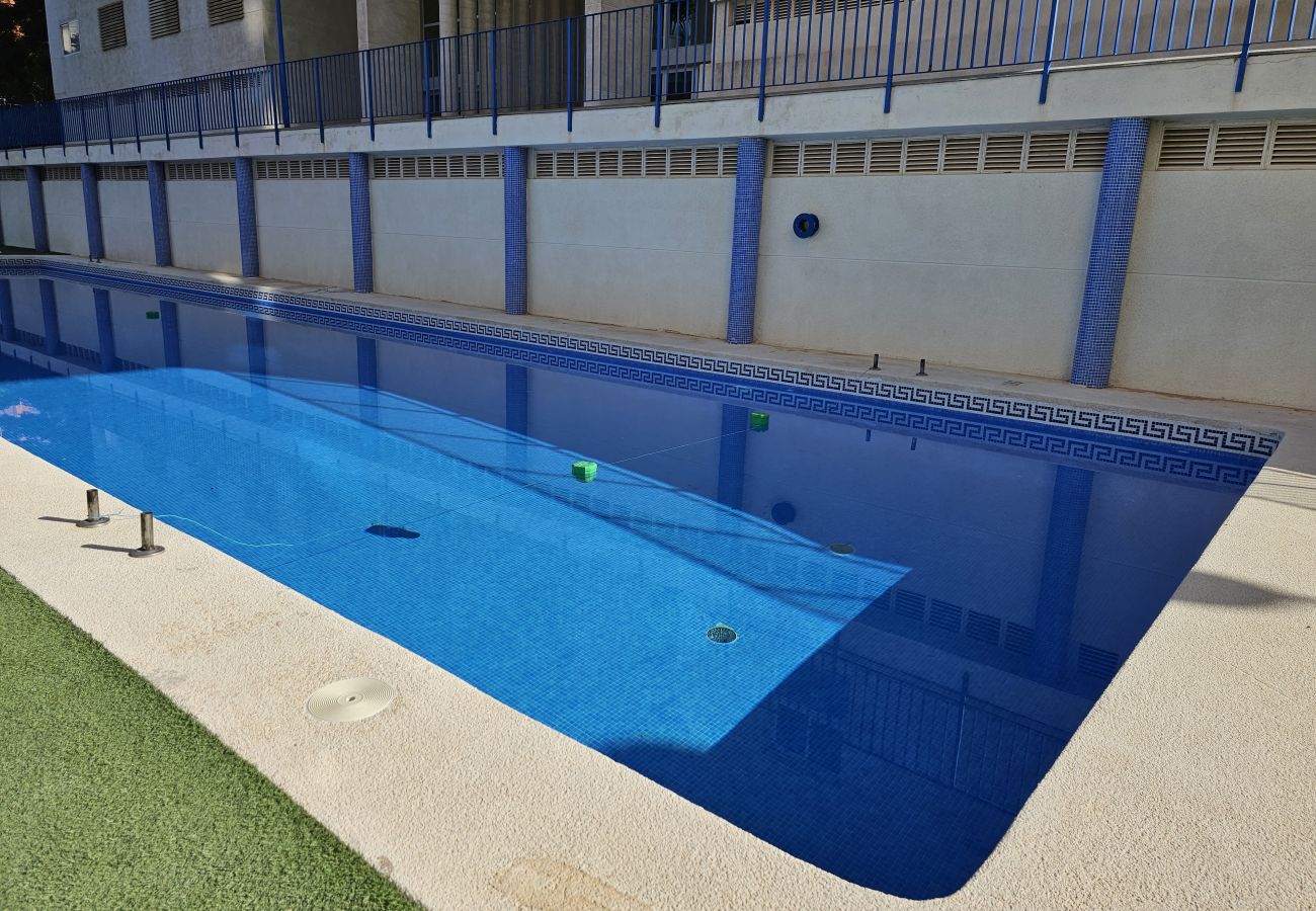 Apartamento en Benidorm - Apartamento Torre  San  Remo IF Benidorm