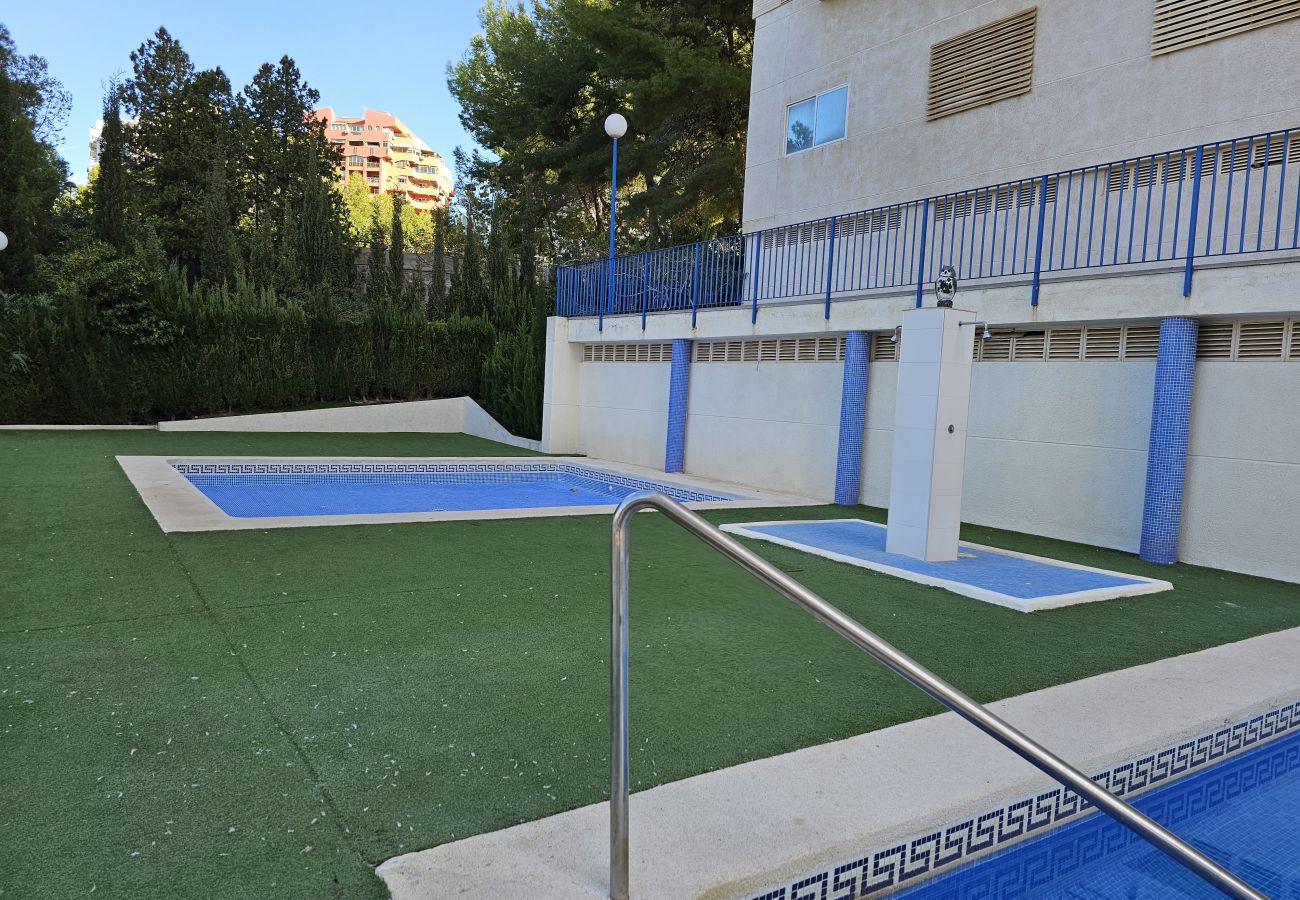 Apartamento en Benidorm - Apartamento Torre  San  Remo IF Benidorm