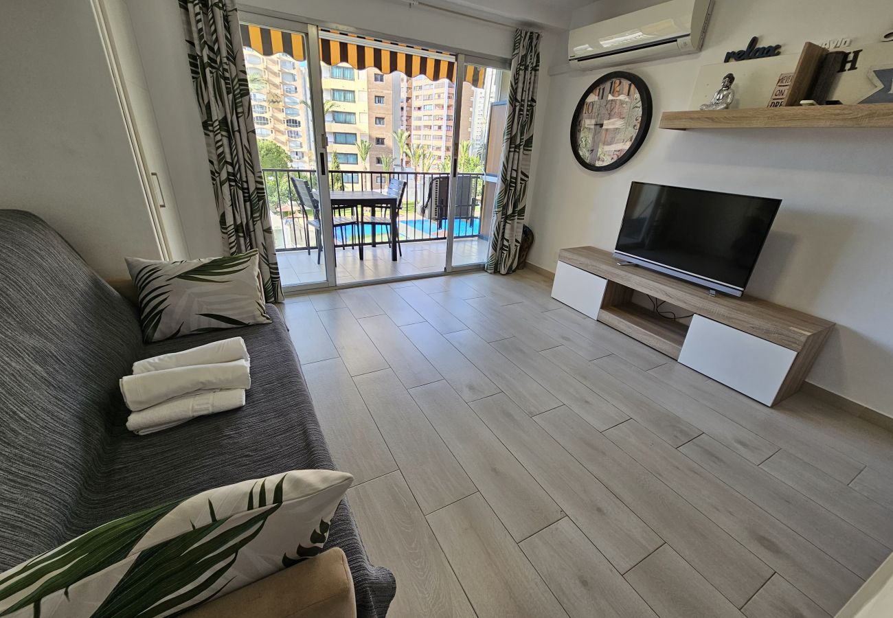 Estudio en Benidorm - Estudio Bermudas  IF Benidorm