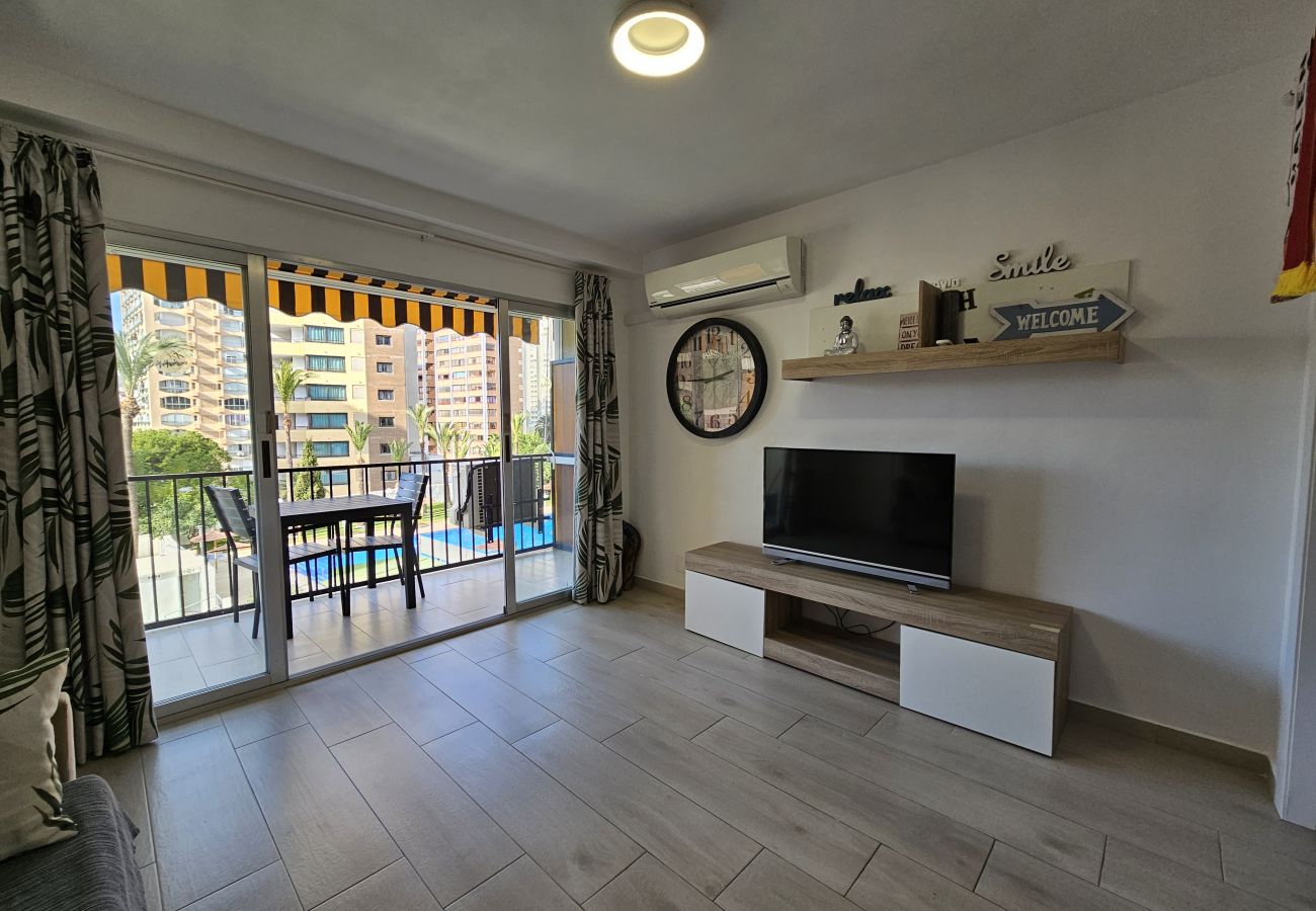 Estudio en Benidorm - Estudio Bermudas  IF Benidorm