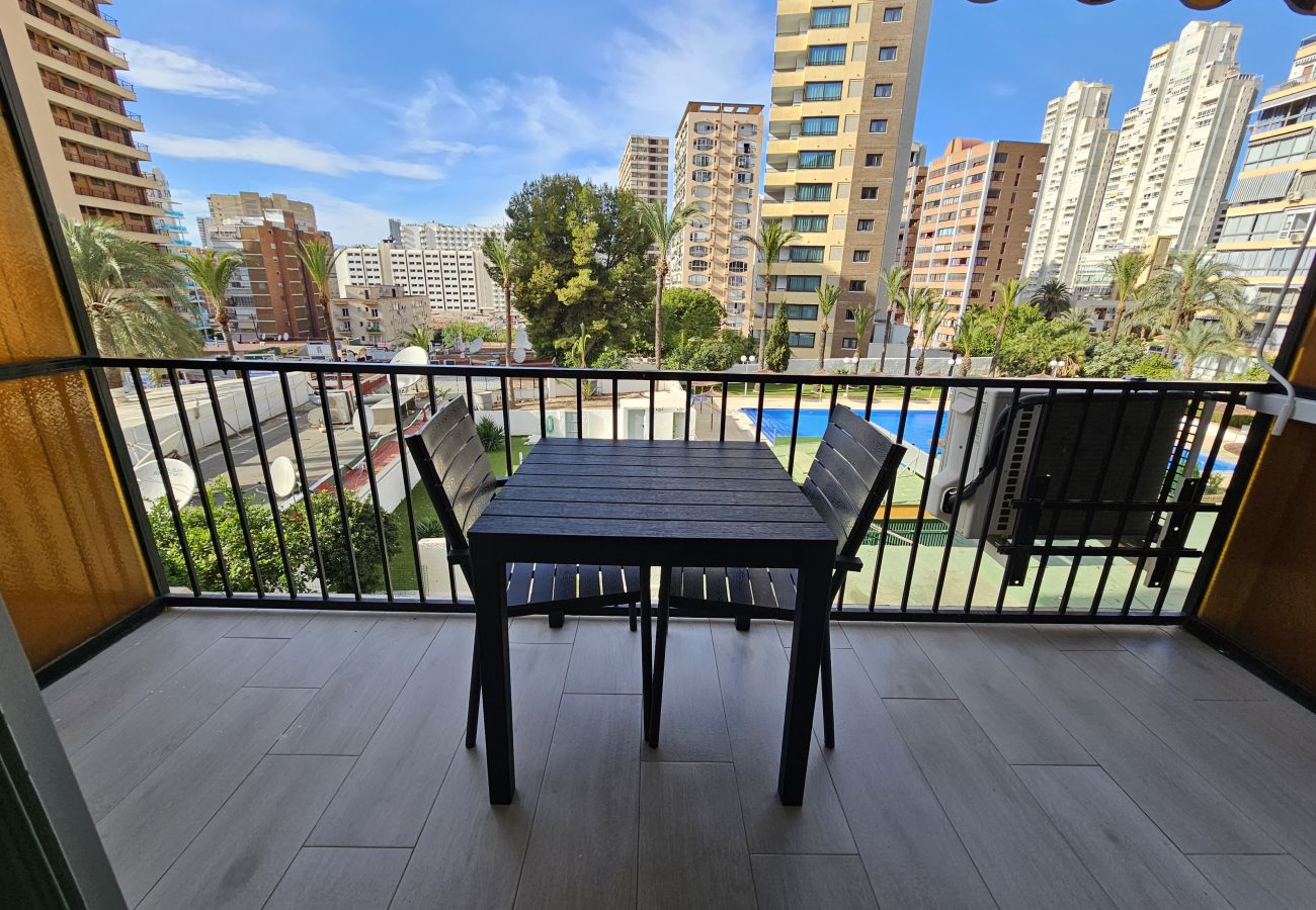 Estudio en Benidorm - Estudio Bermudas  IF Benidorm