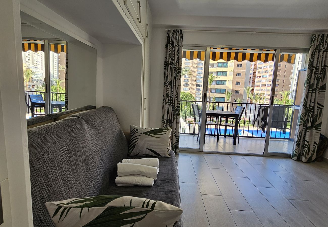 Estudio en Benidorm - Estudio Bermudas  IF Benidorm