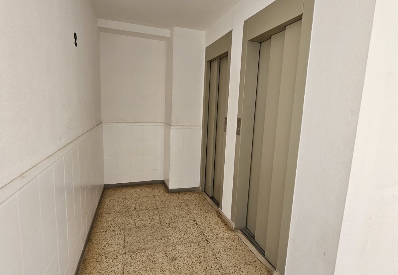 Estudio en Benidorm - Estudio Bermudas  IF Benidorm