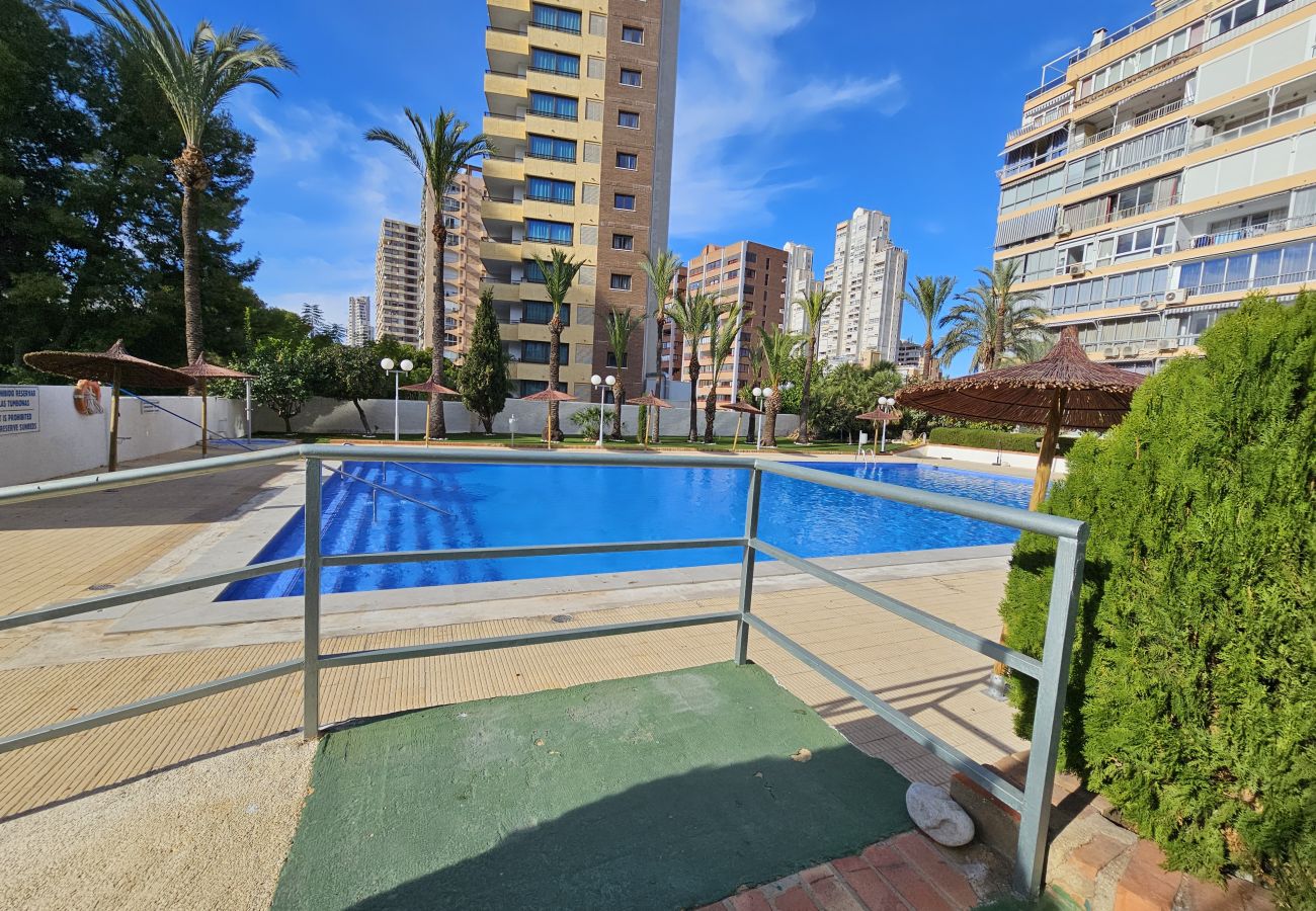 Estudio en Benidorm - Estudio Bermudas  IF Benidorm