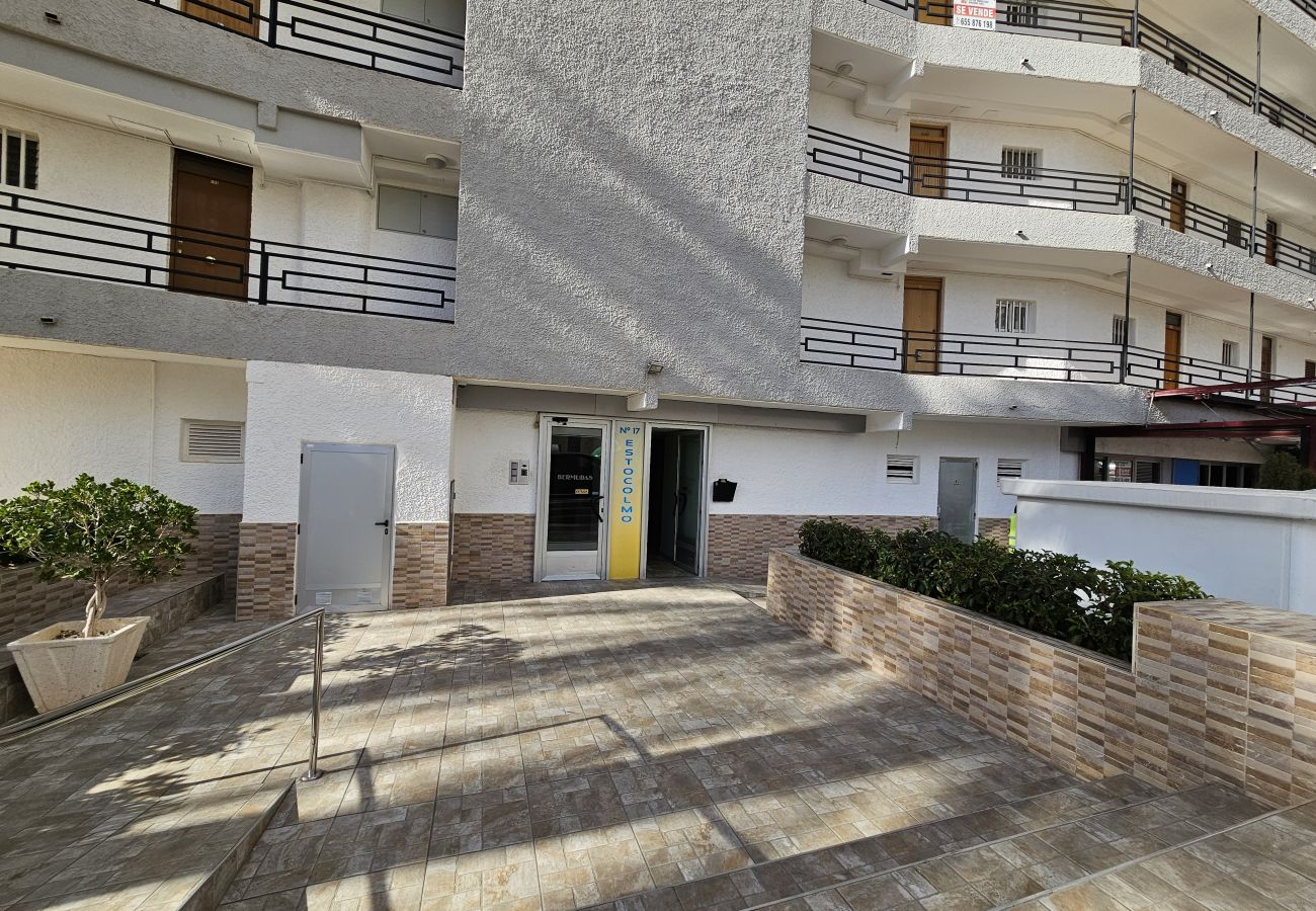 Estudio en Benidorm - Estudio Bermudas  IF Benidorm