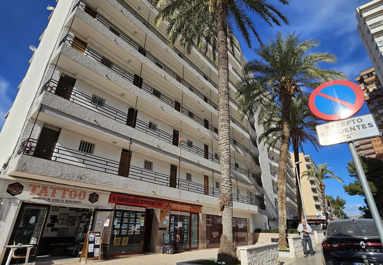 Estudio en Benidorm - Estudio Bermudas  IF Benidorm