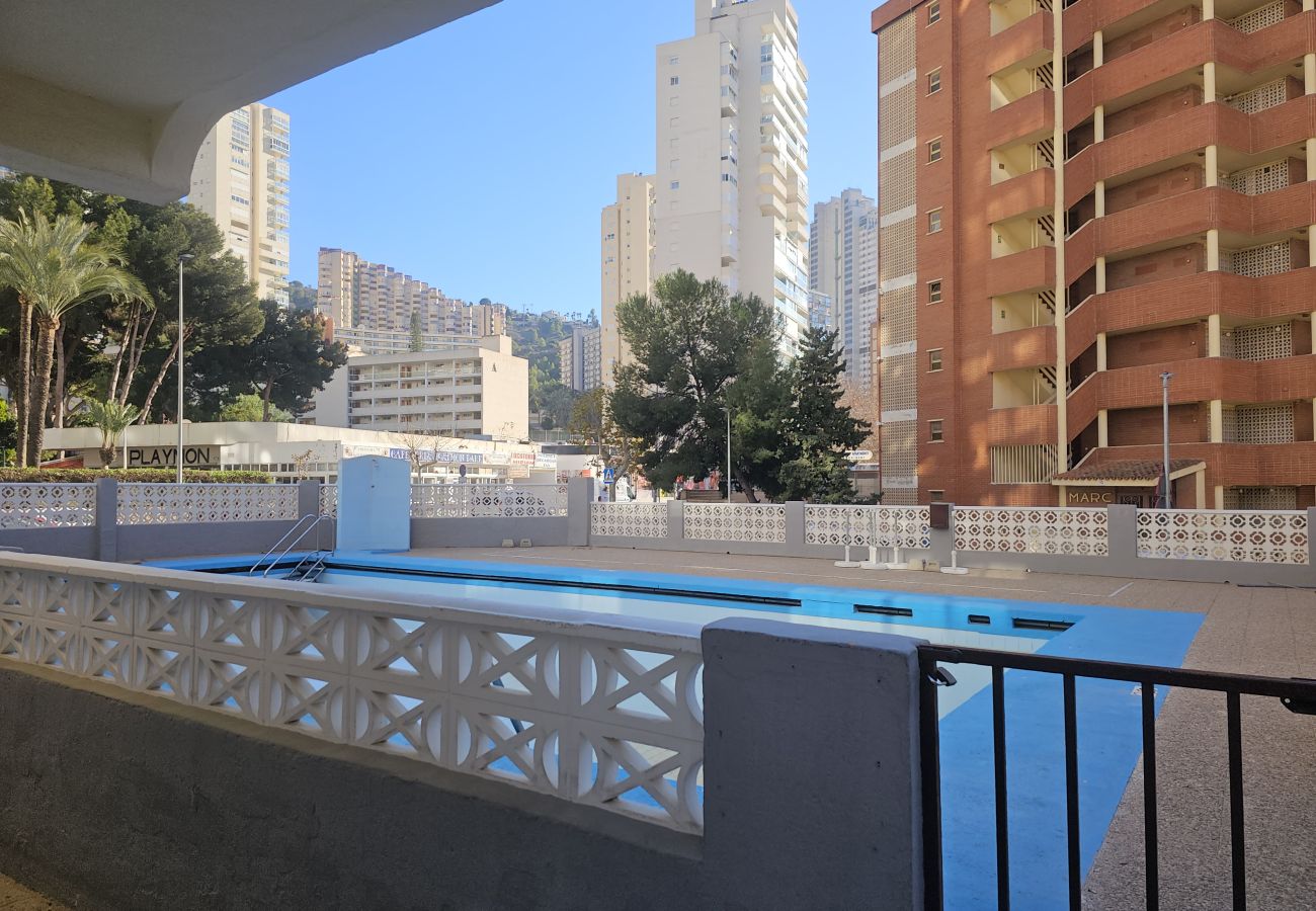 Apartamento en Benidorm - Apartamento  Marabu IF Benidorm