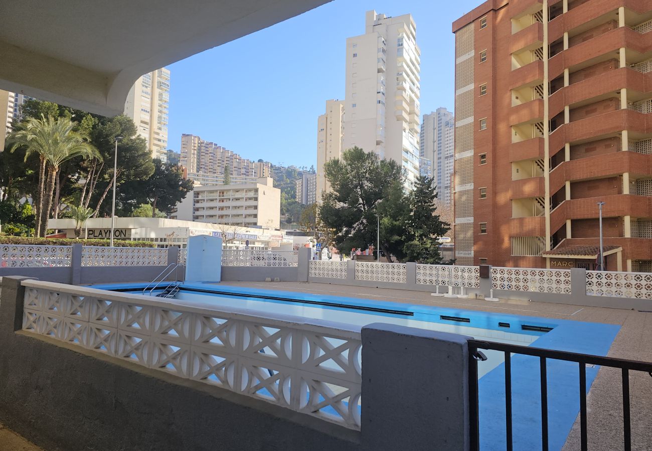 Apartamento en Benidorm - Apartamento  Marabu IF Benidorm