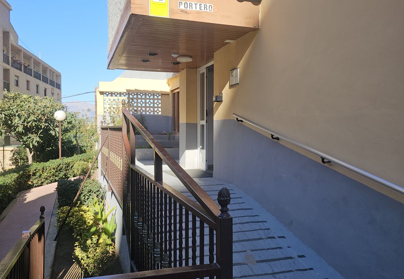 Apartamento en Benidorm - Apartamento  Marabu IF Benidorm