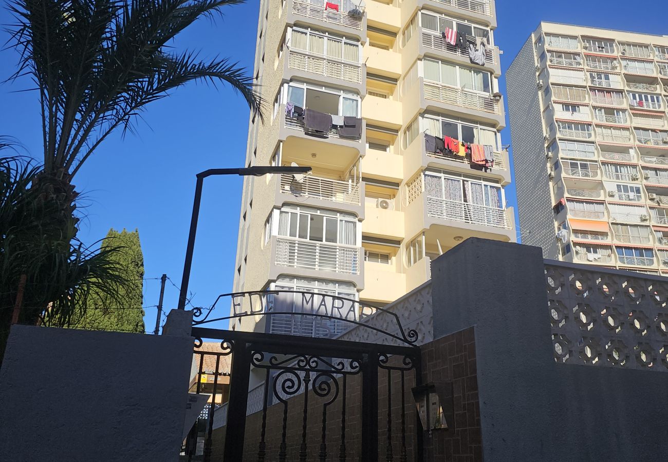 Apartamento en Benidorm - Apartamento  Marabu IF Benidorm