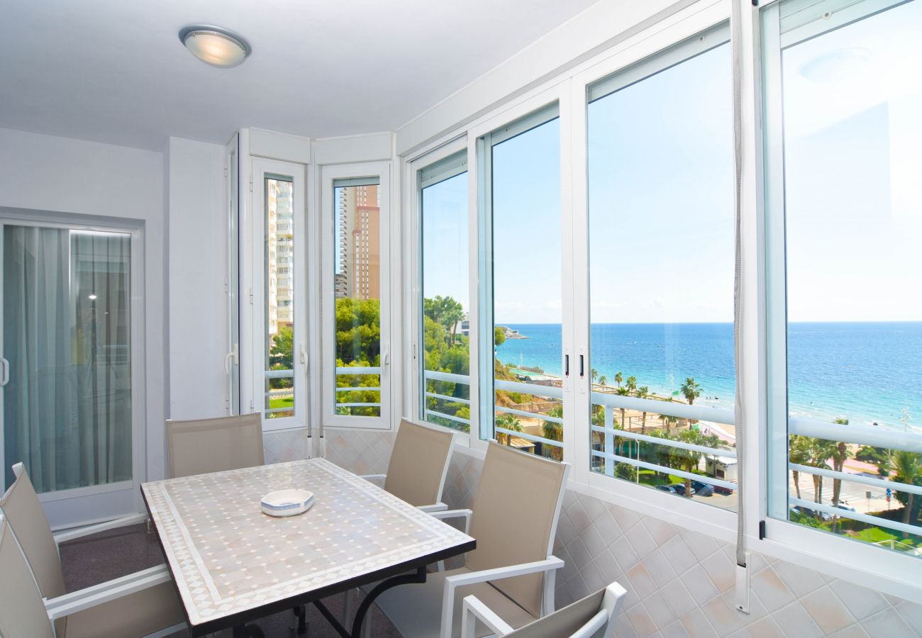 Apartamento en Benidorm - Olivar Benidorm Playa IF Benidorm