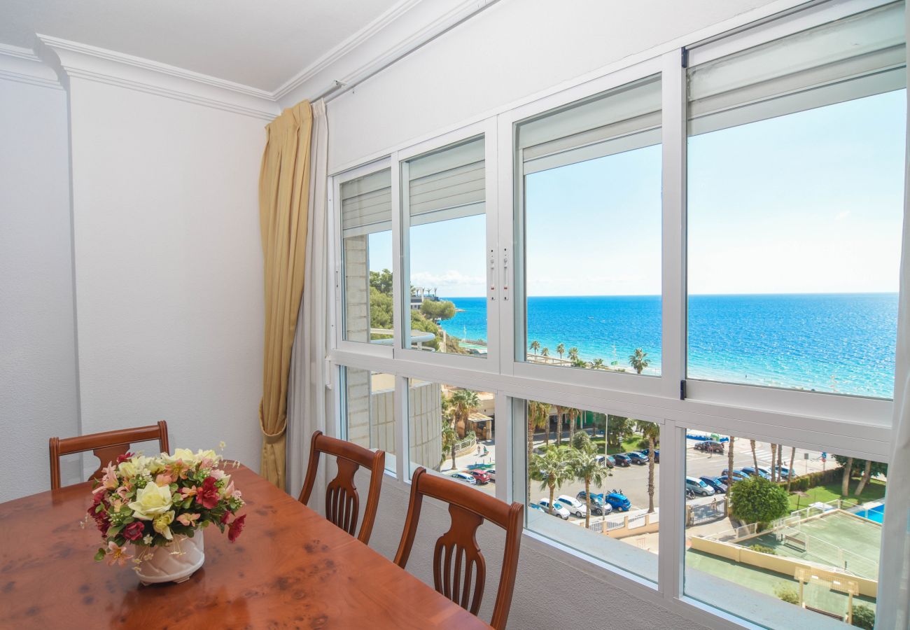 Apartamento en Benidorm - Olivar Benidorm Playa IF Benidorm