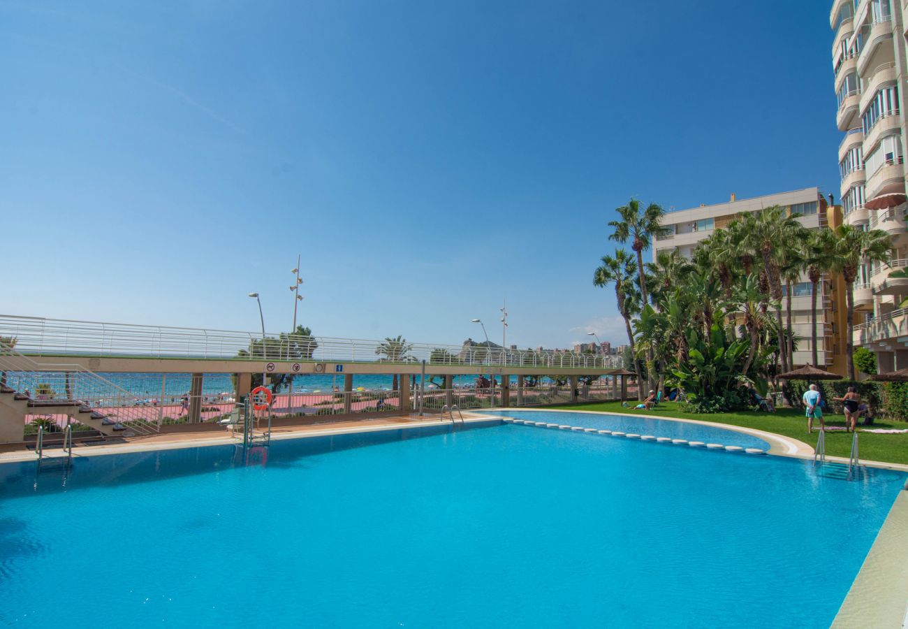 Apartamento en Benidorm - Olivar Benidorm Playa IF Benidorm