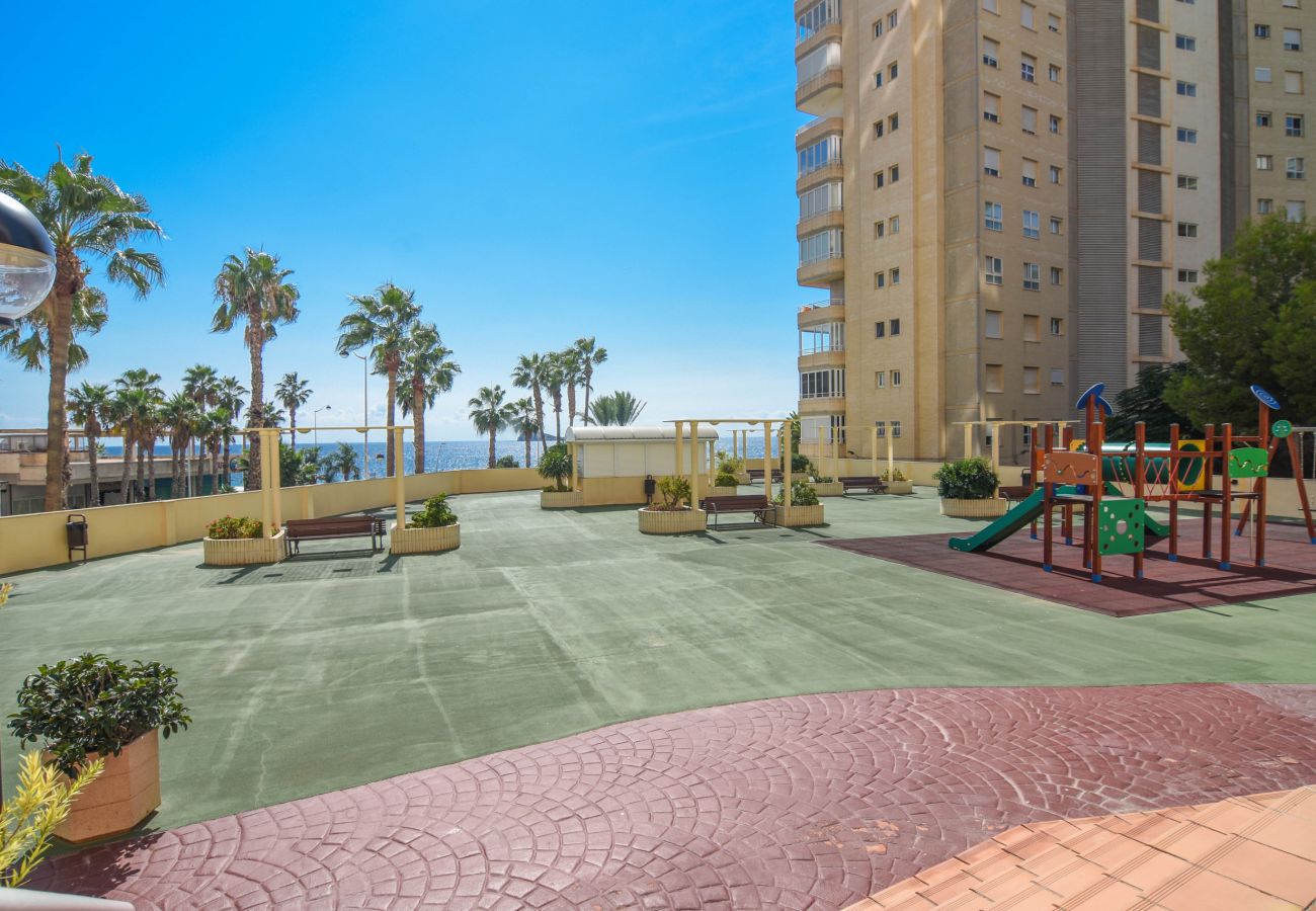 Apartamento en Benidorm - Olivar Benidorm Playa IF Benidorm