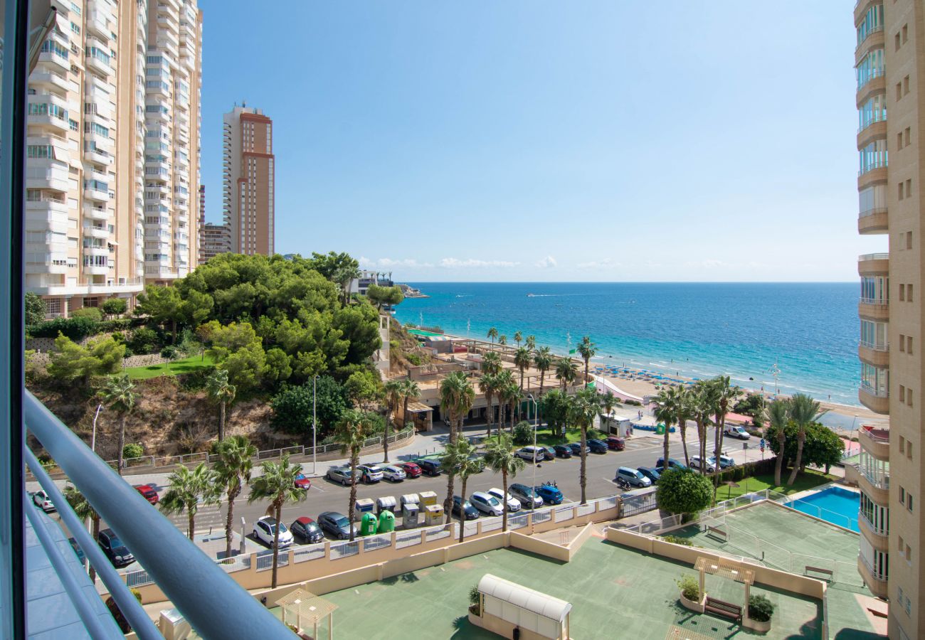 Apartamento en Benidorm - Olivar Benidorm Playa IF Benidorm