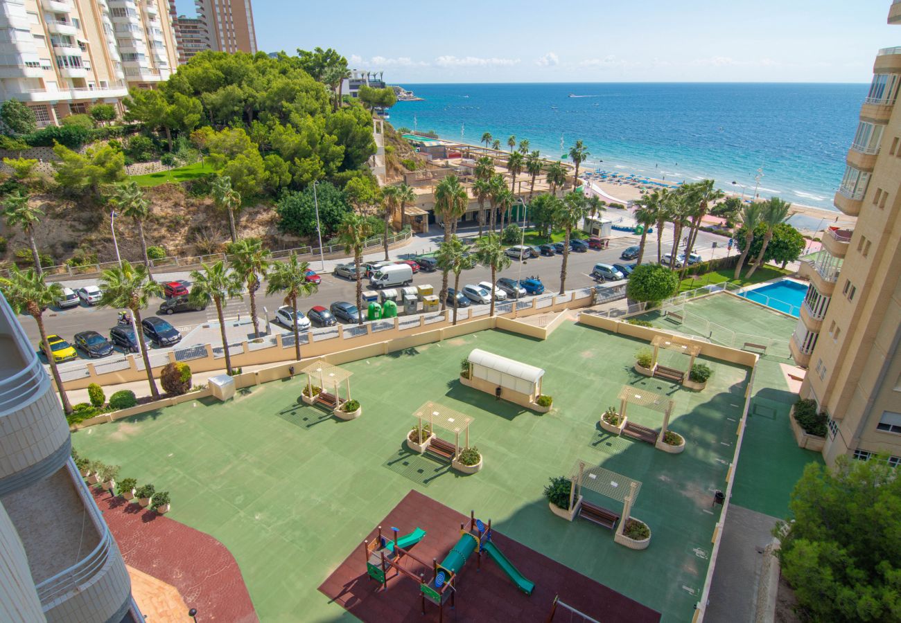 Apartamento en Benidorm - Olivar Benidorm Playa IF Benidorm