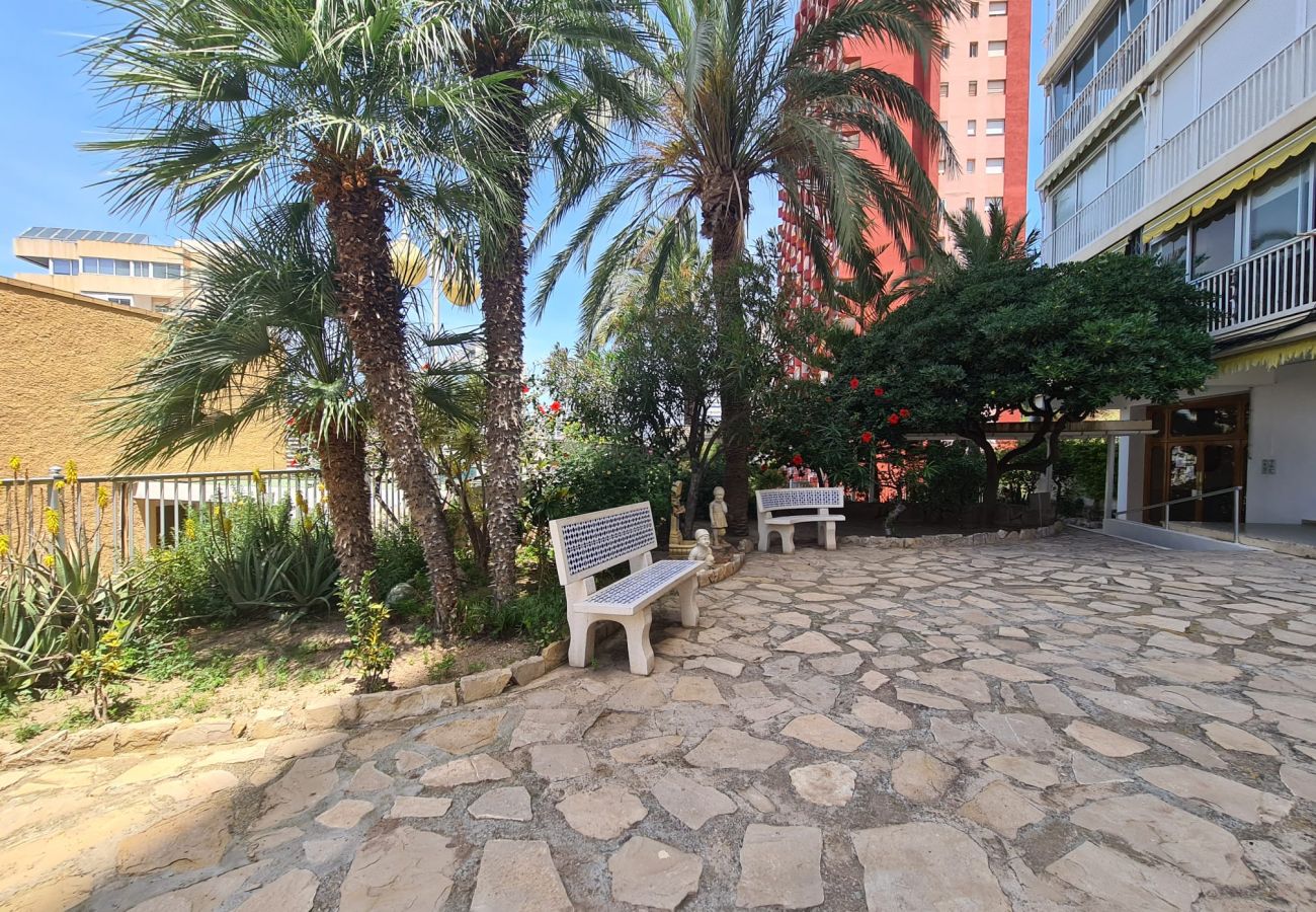 Apartamento en Benidorm - Estudio Agua Mundo IF Beach