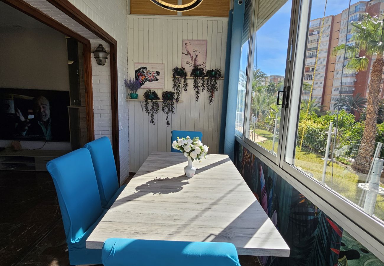 Apartamento en Benidorm - Apartamento Torre San Sebastian IF  Bajo