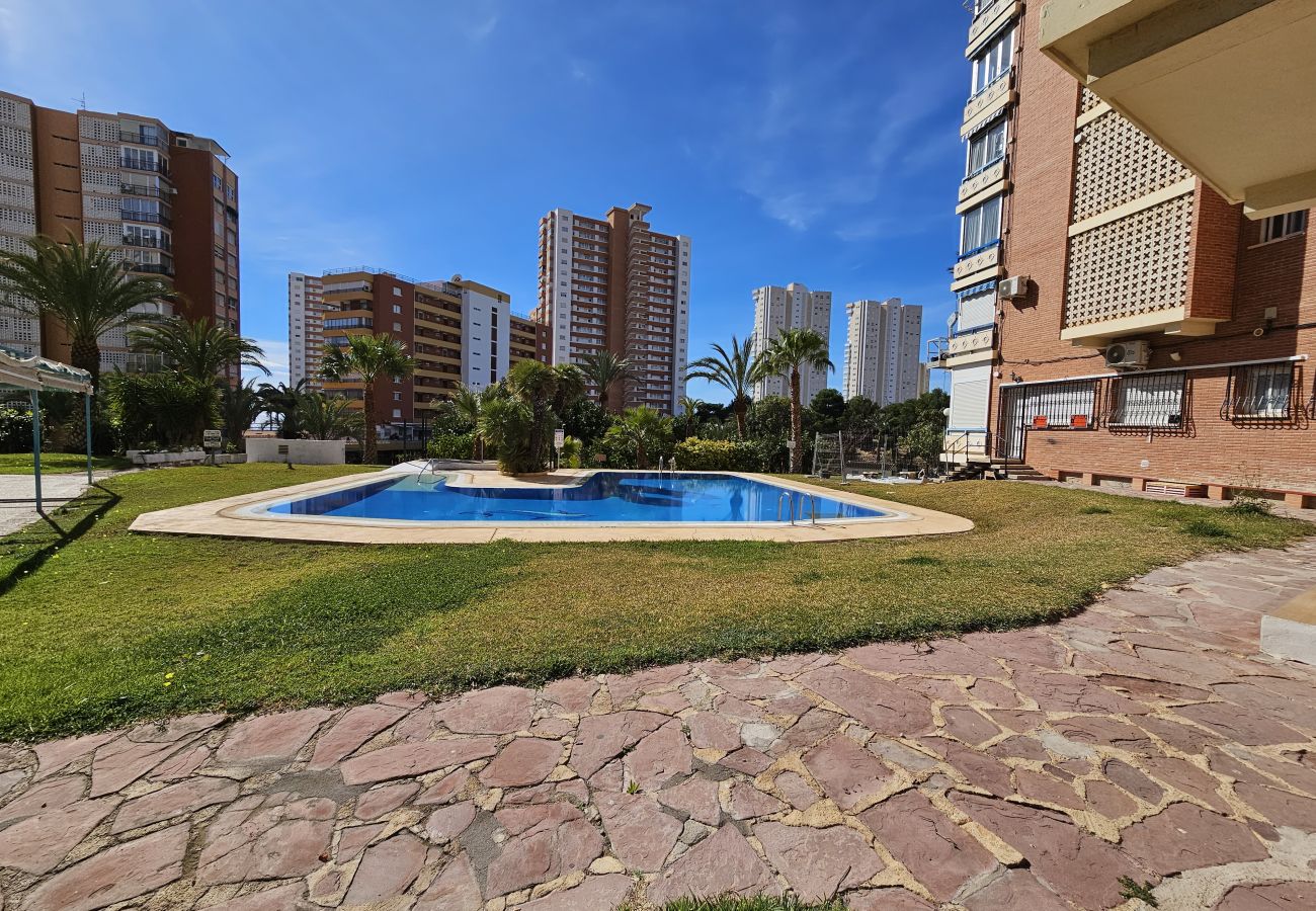 Apartamento en Benidorm - Apartamento Torre San Sebastian IF  Bajo