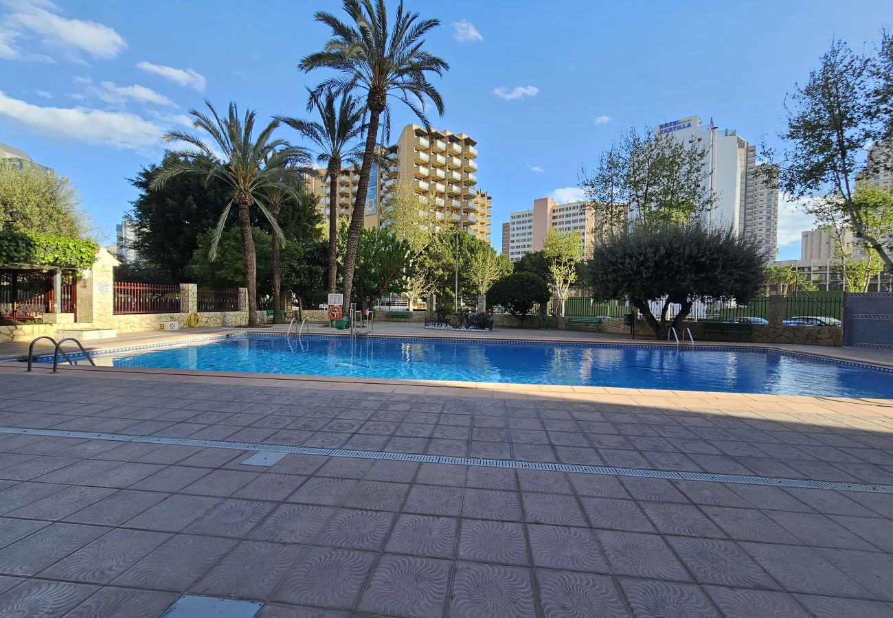 Apartamento en Benidorm - Apartamento Moby Dick IF Benidorm