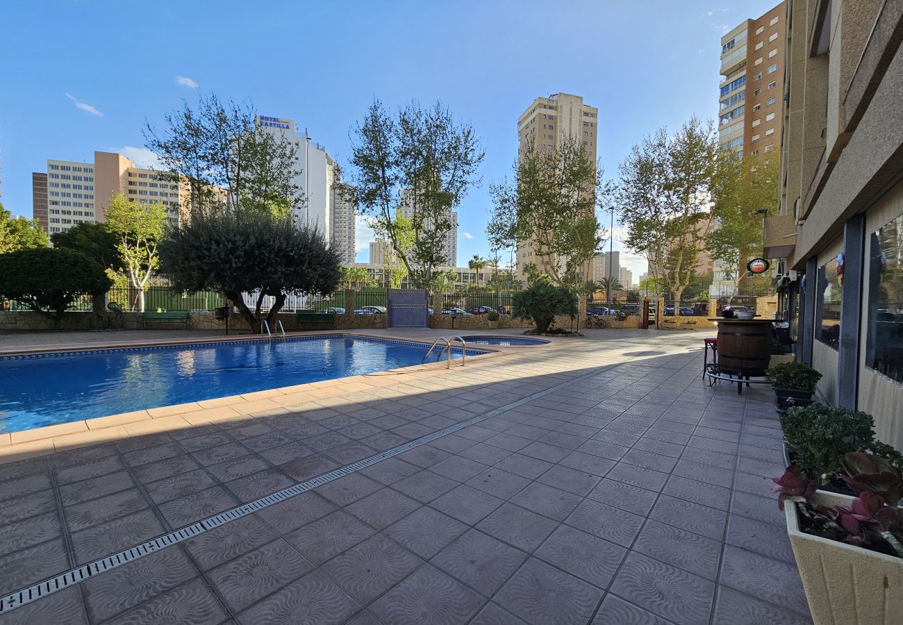 Apartamento en Benidorm - Apartamento Moby Dick IF Benidorm