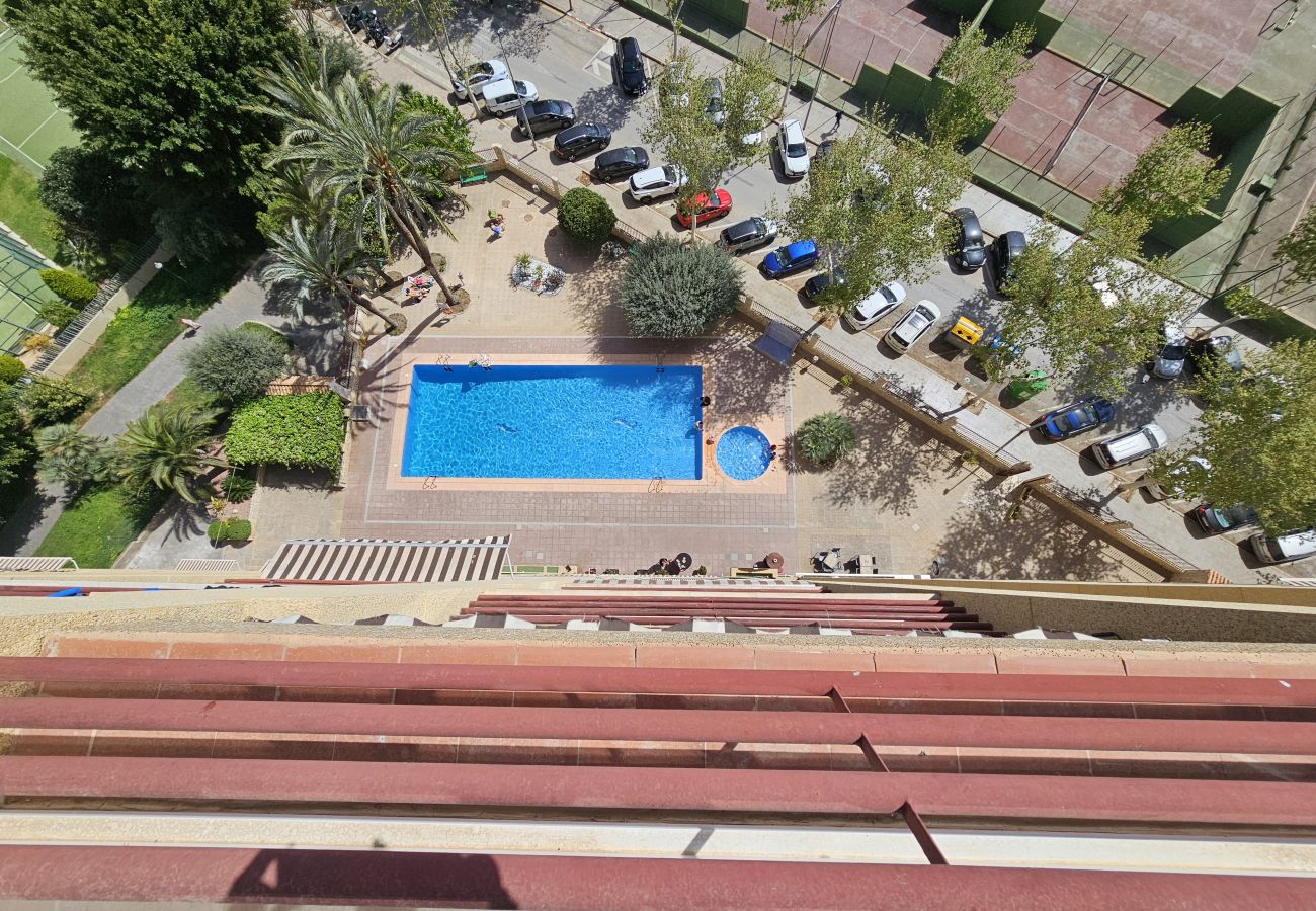 Apartamento en Benidorm - Apartamento Moby Dick IF Benidorm