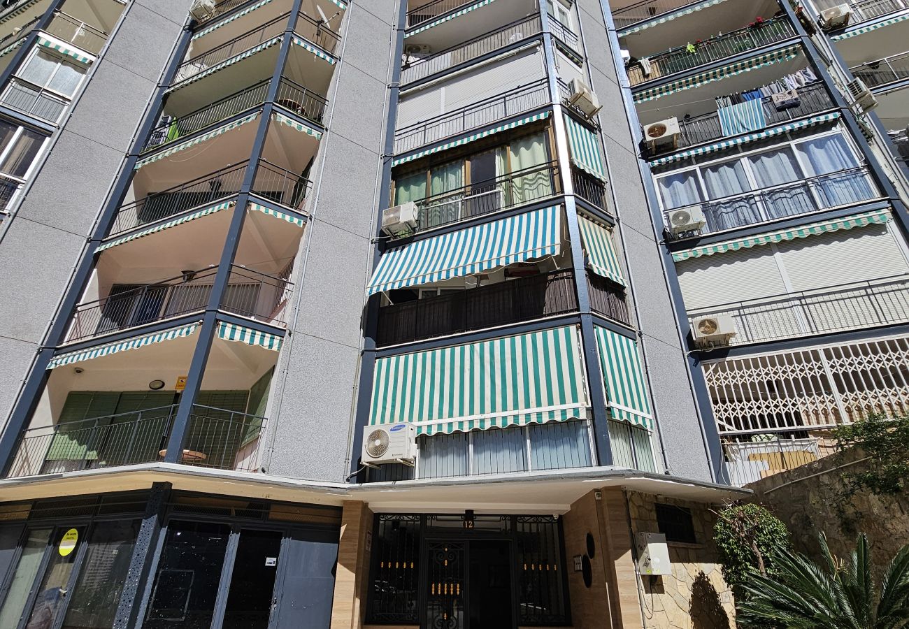 Apartamento en Benidorm - Apartamento Ciudad Antena IF Benidorm