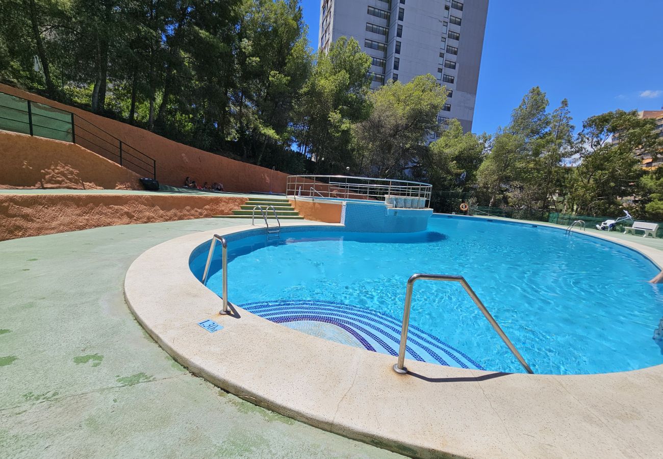 Apartamento en Benidorm - Apartamento Ciudad Antena IF Benidorm