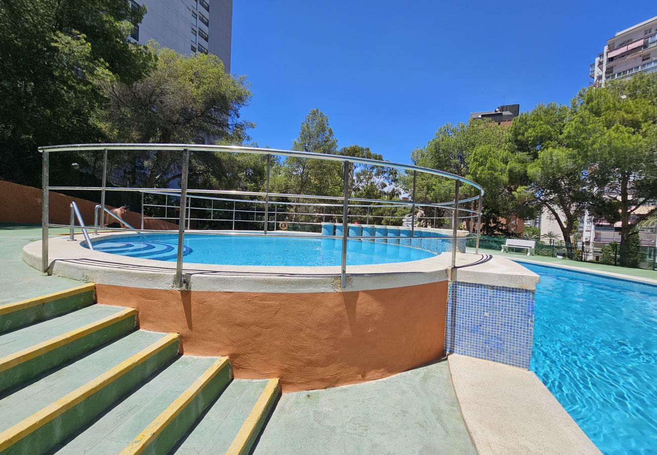 Apartamento en Benidorm - Apartamento Ciudad Antena IF Benidorm